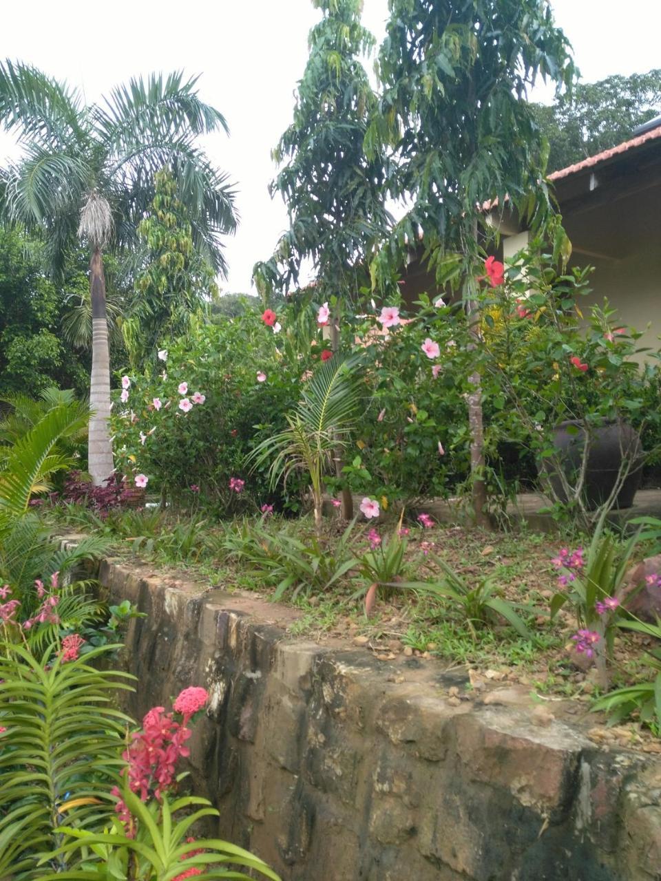 דואונג דונג Thuy House Resort מראה חיצוני תמונה