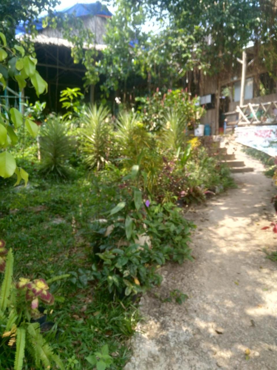 דואונג דונג Thuy House Resort מראה חיצוני תמונה
