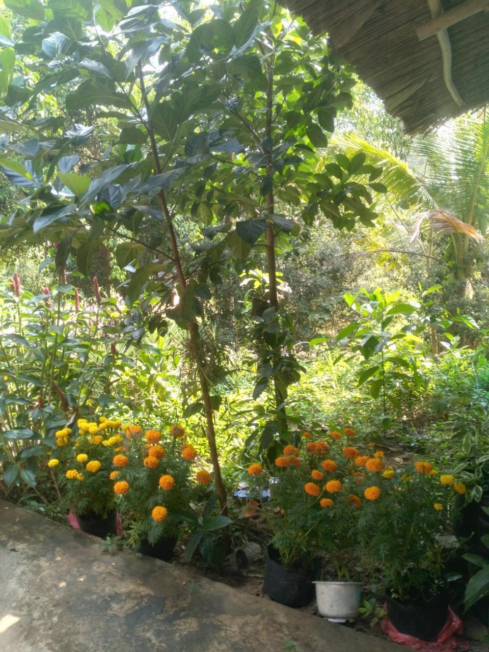 דואונג דונג Thuy House Resort מראה חיצוני תמונה