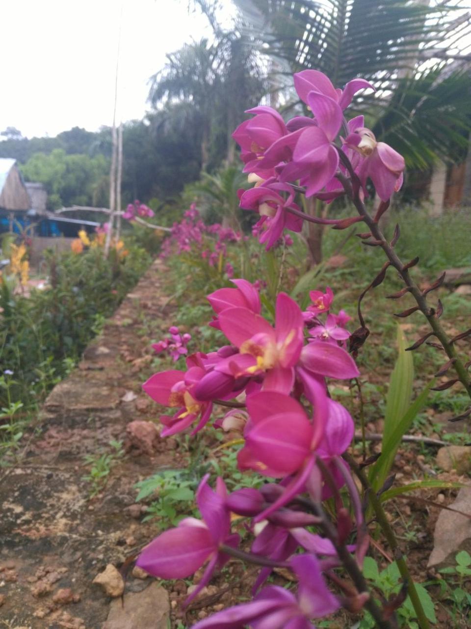 דואונג דונג Thuy House Resort מראה חיצוני תמונה