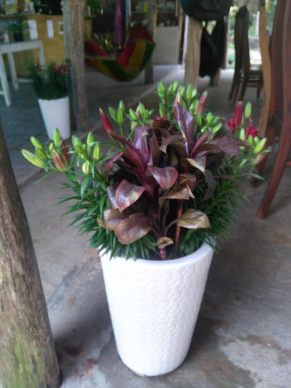 דואונג דונג Thuy House Resort מראה חיצוני תמונה
