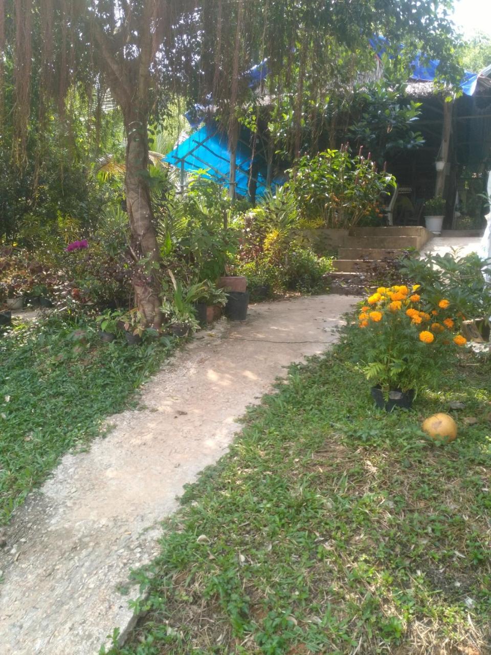 דואונג דונג Thuy House Resort מראה חיצוני תמונה
